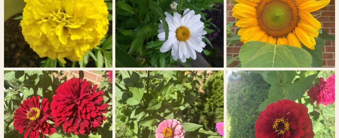 God, Grow Me a Garden.