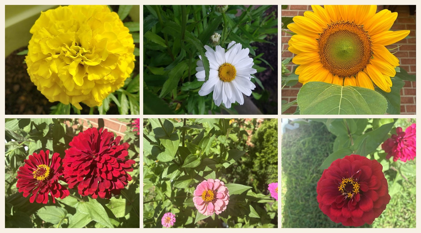 God, Grow Me a Garden.